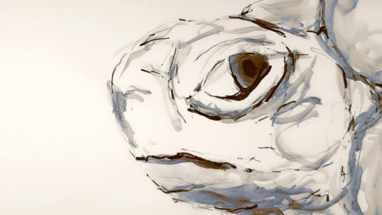 Imatge de Tortoise