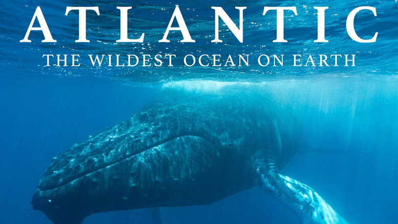 Atlantic: The Wildest Ocean on Earth still