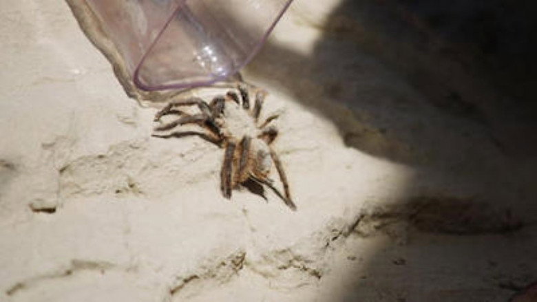 Still from You vs. Wild - Season 1 Episode 6