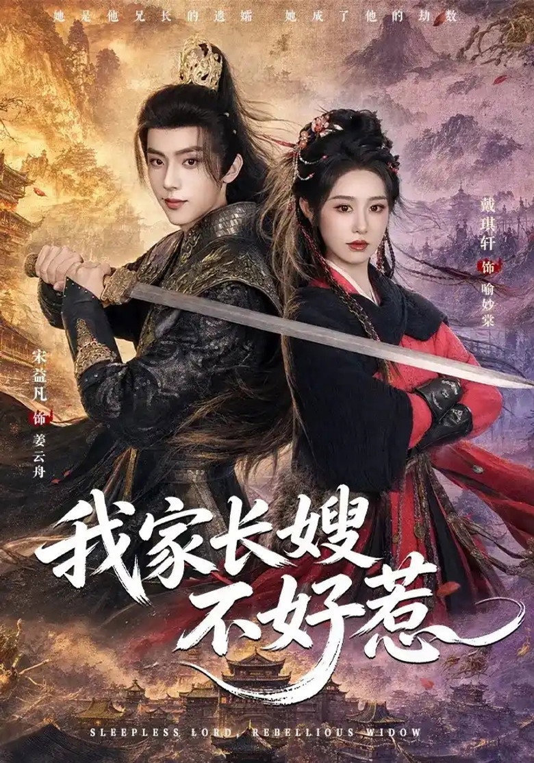 Poster de 我家长嫂不好惹