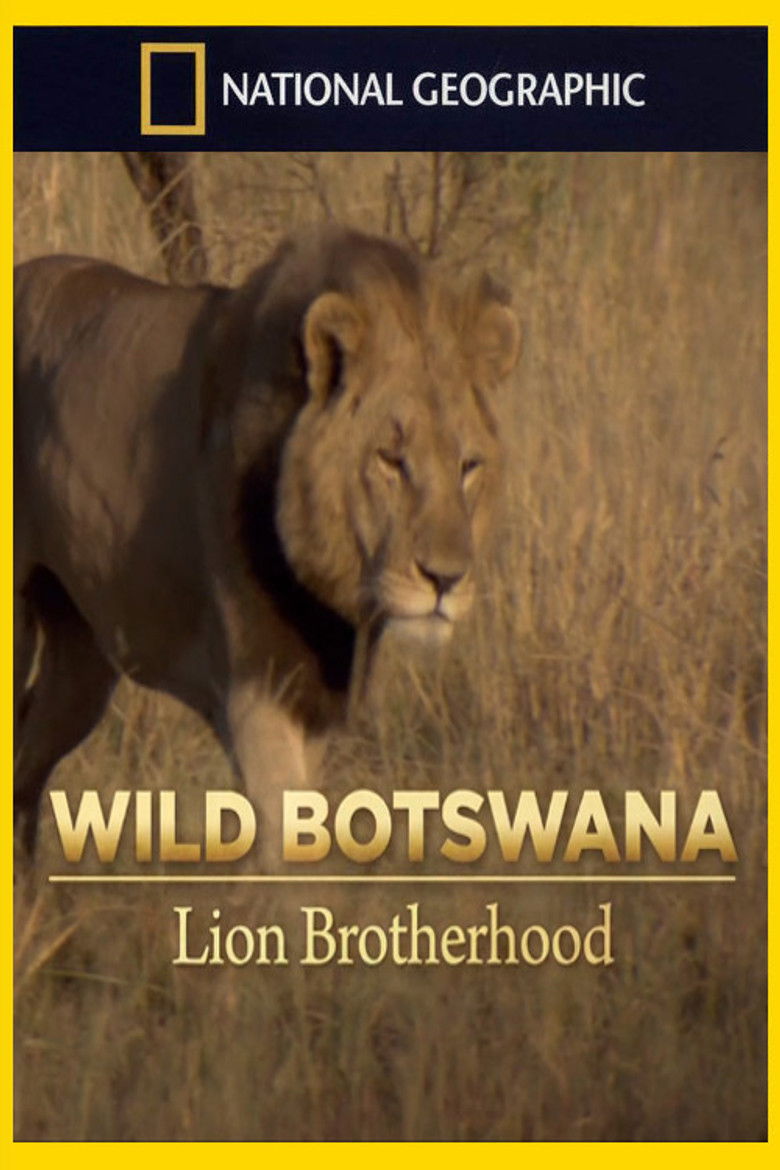 Imatge de Lion Brotherhood