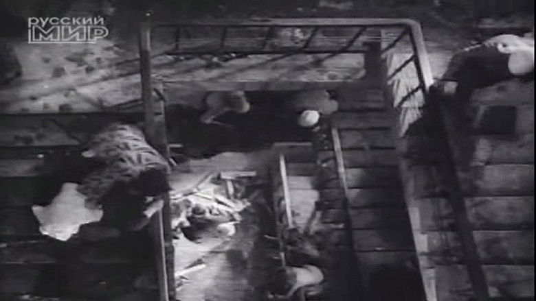 Epnkb3hwdjjpo7add2abyiw9q5r