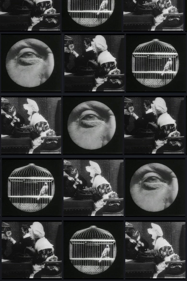 Imatge de Grandma's Reading Glass