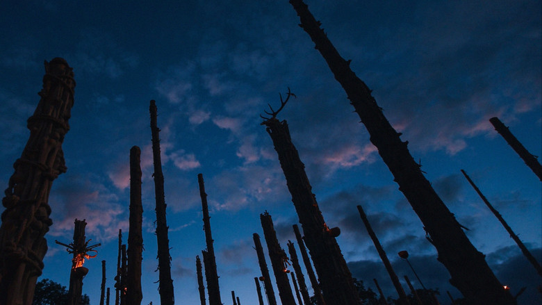 Film backdrop