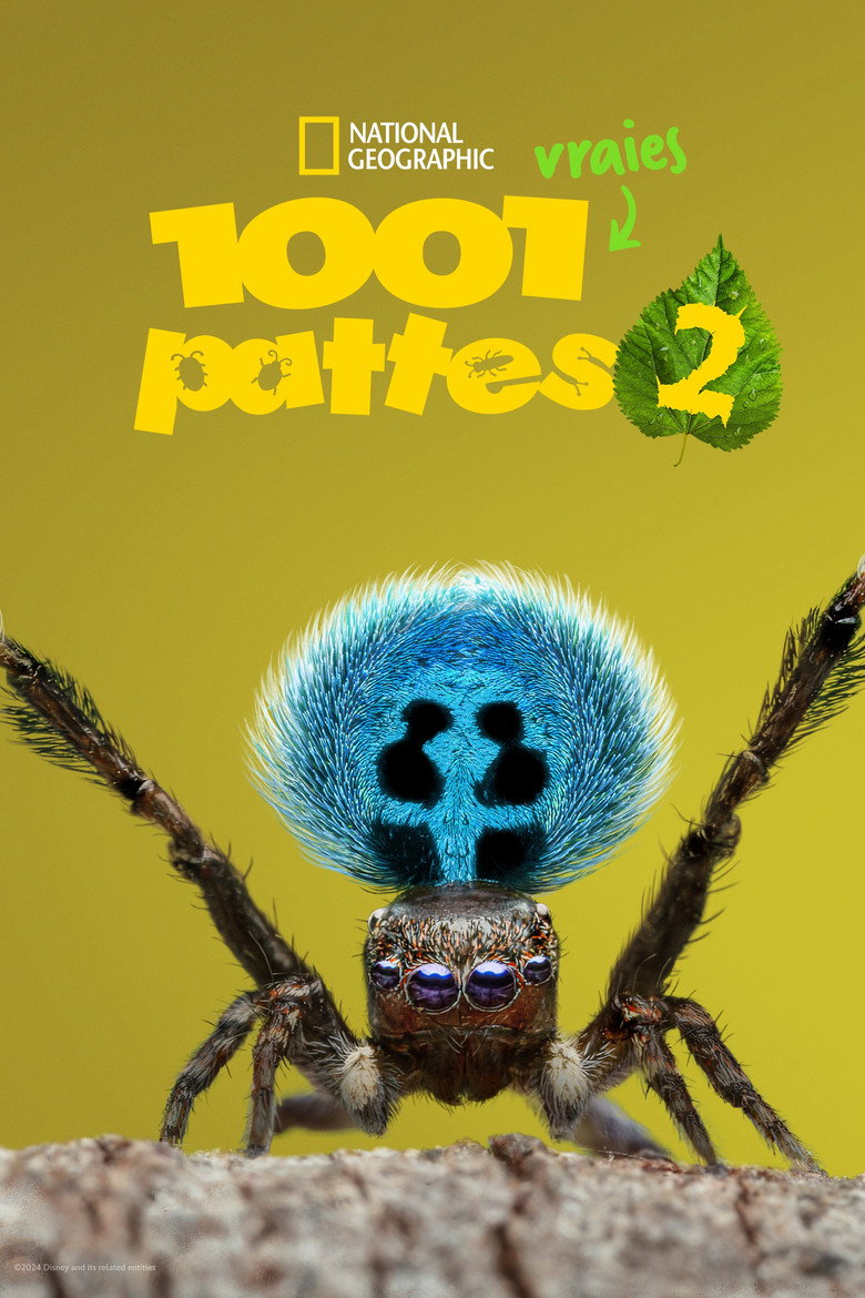 Póster la Serie