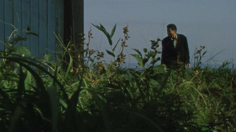 Still from The Revenge: A Visit from Fate