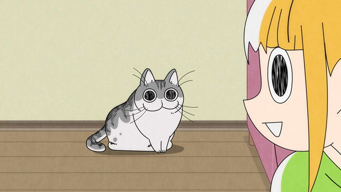 Still image for Nights with a Cat season 1 episode 24: Night 24: The Cat Can't Help Sniffing the Forefinger