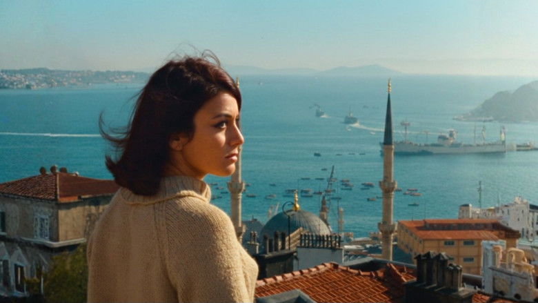 Image d'arrière-plan 11 du film Time to Love