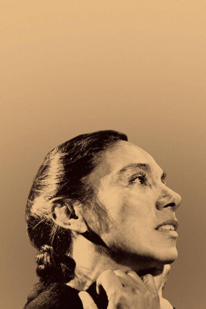 Imatge de La sal de la terra