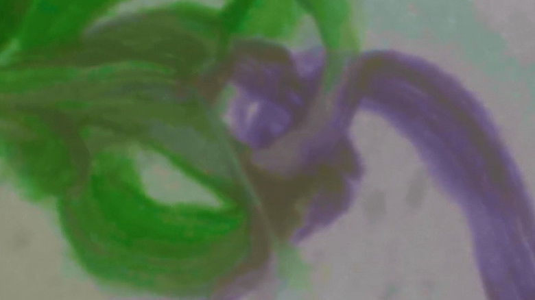 Gallery image from erJrJqnxKnZ3hPcRIqBJzT7kS81.jpg