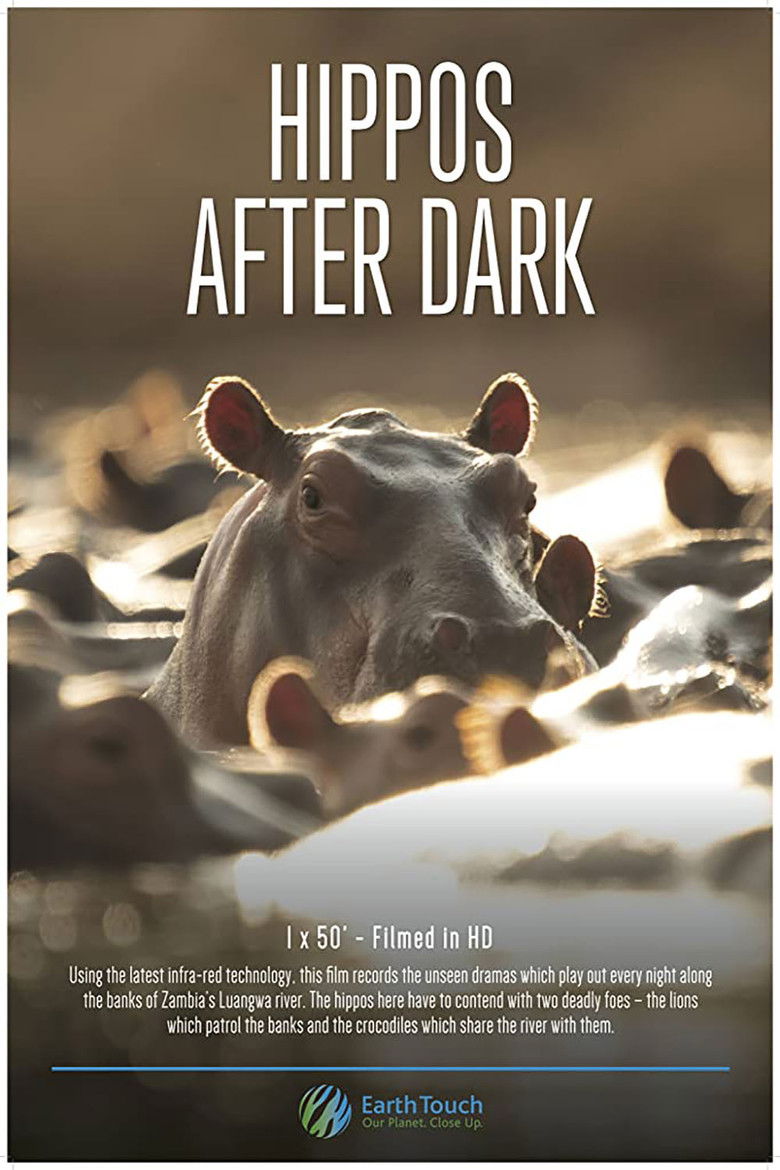 Imatge de Hippos after Dark