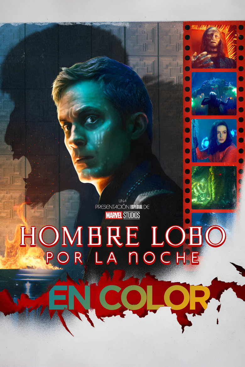 Póster la Película
