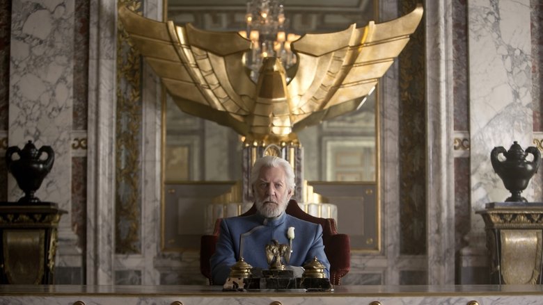 The Hunger Games: Mockingjay - Part 1 (2014)