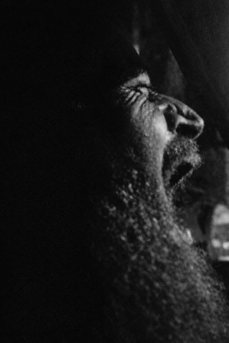 Imatge de So Dear, So Lovely