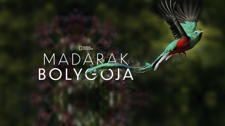 Gallery image from et3oJxEqBwXwRtYvXluyyGvSqio.jpg