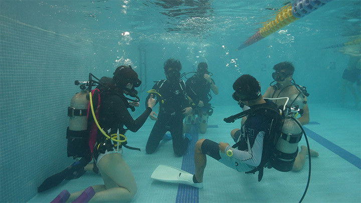 Still image for Dive Rules Deep Dive - Hong Kong season 1 episode 1: Episode 1