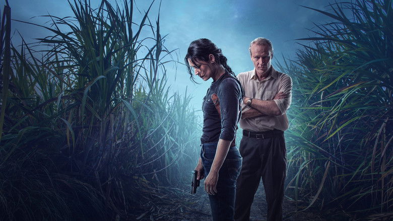 Gallery image from etEObQgTVkP5RqcuIcK4QzHy8lh.jpg