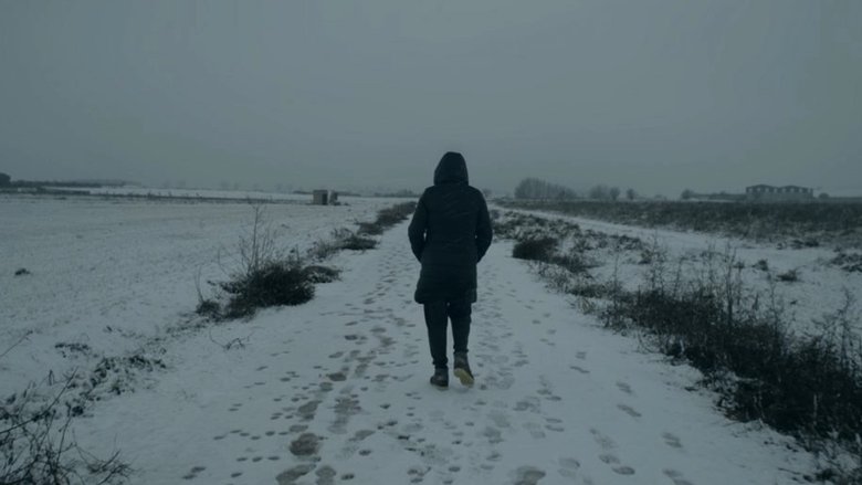 Gallery image from etEXvZG6Uw0W88zbOJ3GKBzh4Bi.jpg