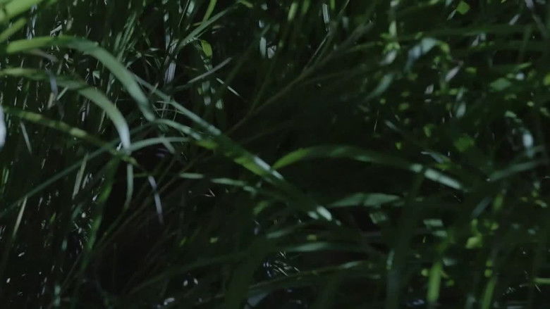 Still image for 枪口 season 1 episode 15: Episode 15