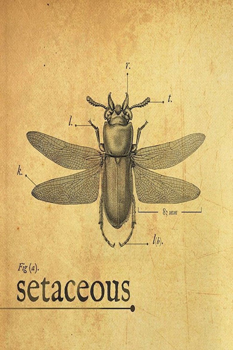 Setaceous main poster