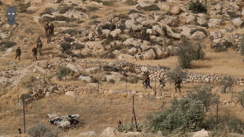 Imatge de They Break the Tree of Peace