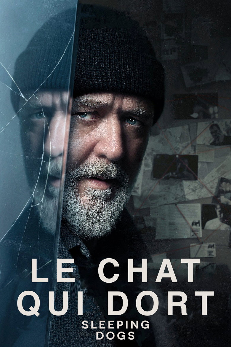 Póster la Película
