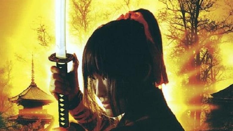 芸者ｖｓ忍者 / Geisha vs Ninja movie poster