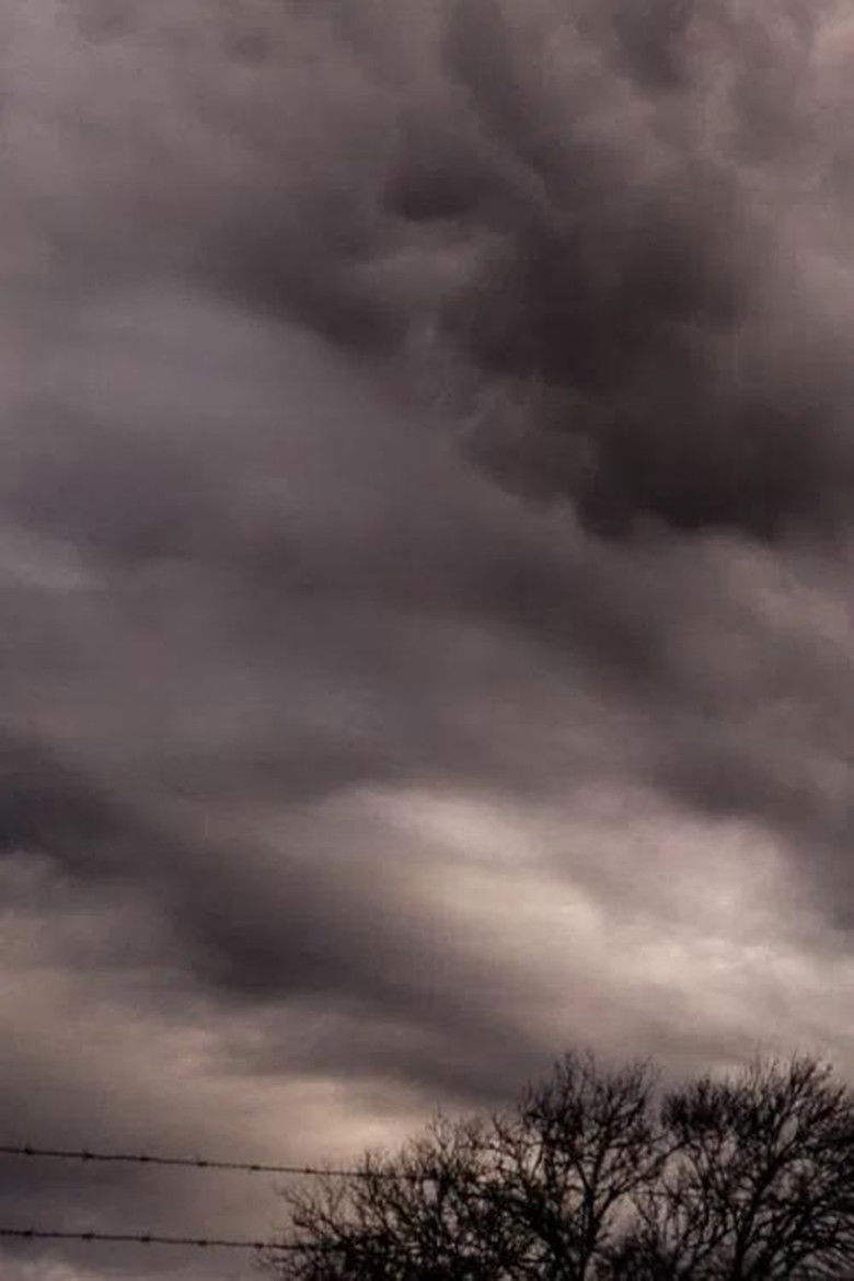 Imatge de We Are Living Things