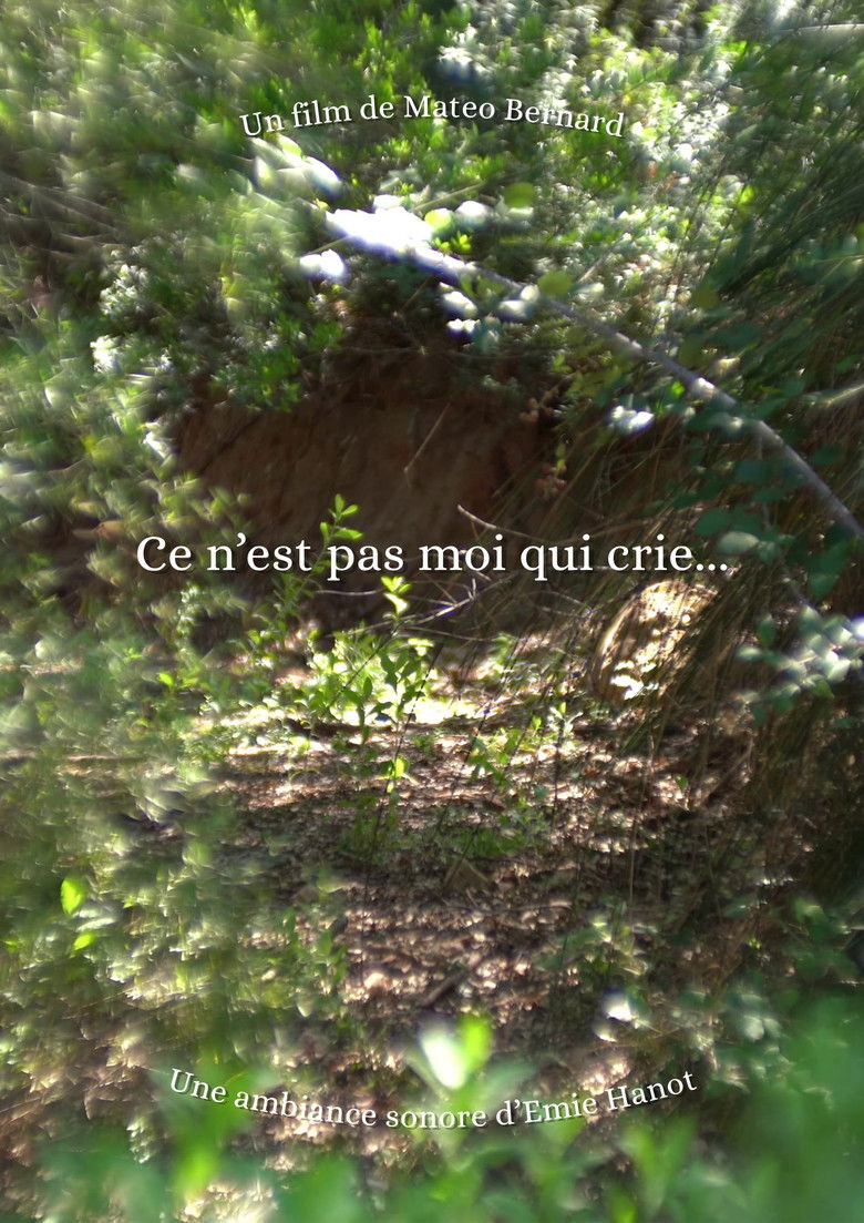 Imatge de Ce n'est pas moi qui crie...