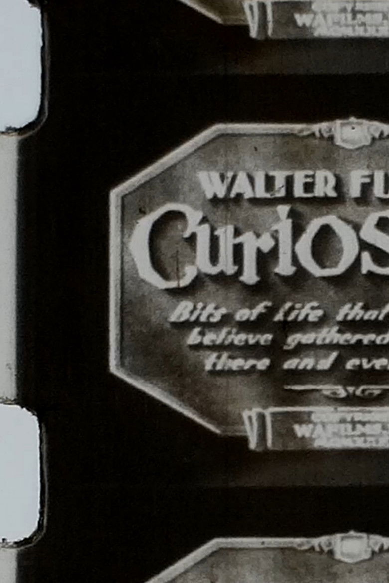 Imatge de Walter Futter's Curiosities