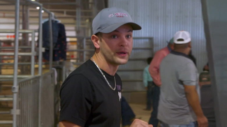 Still image for Pig Royalty season 1 episode 5: Trouble With the Tyks