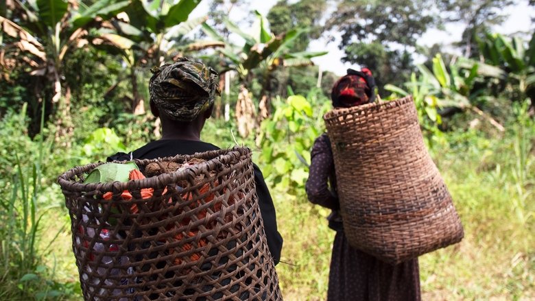 Still image for Tribal season 1 episode 7: Episode 7 Still image for Tribal season 1 episode 7: Episode 7