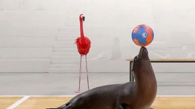 Still image for Athleticus season 1 episode 13: Episode 13