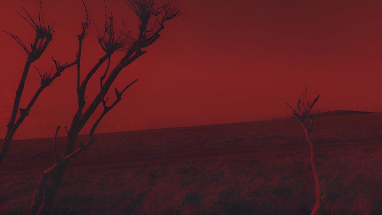 Gallery image from ezJgt3lgh36XX72PZcc3mIaUk7H.jpg