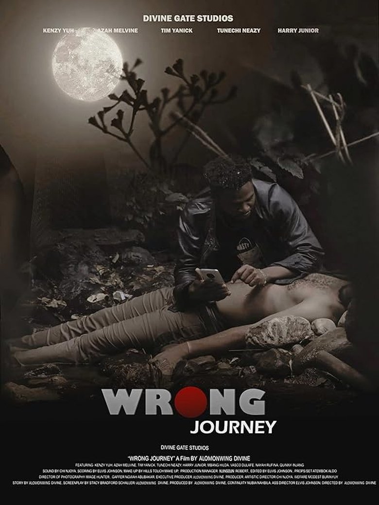Wrong Journey poster