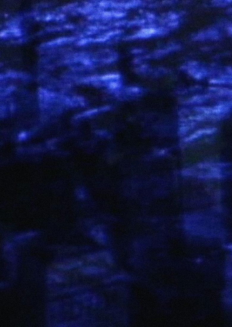 Imatge de Innocence and Despair