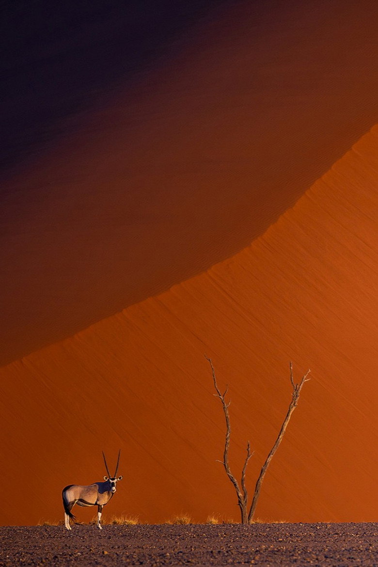 Imatge de Namibie : exceptionnelle par nature
