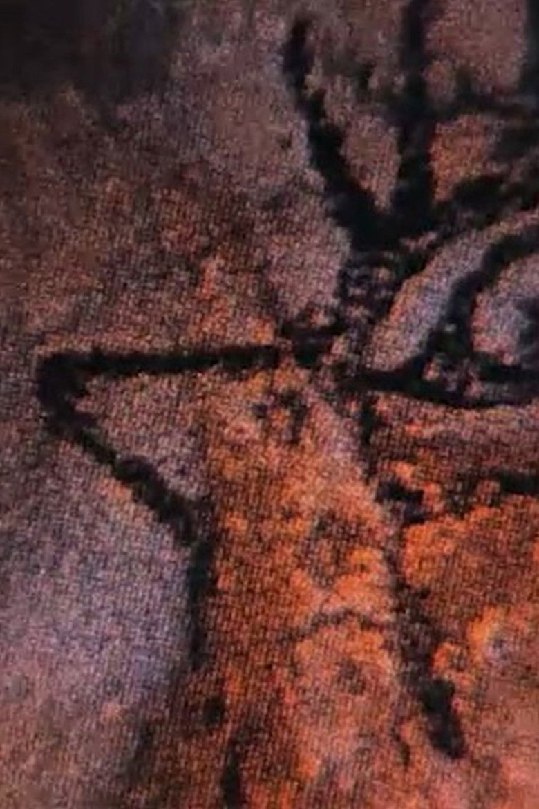 Imatge de Une minute vingt-sept de frise