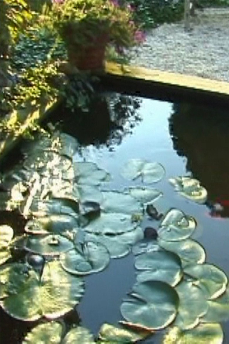 Lotus Song 2