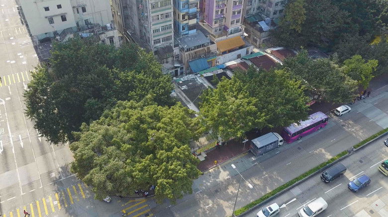 Gallery image from f1WmFO3hCk1NFFVABpC8cBJHdy9.jpg