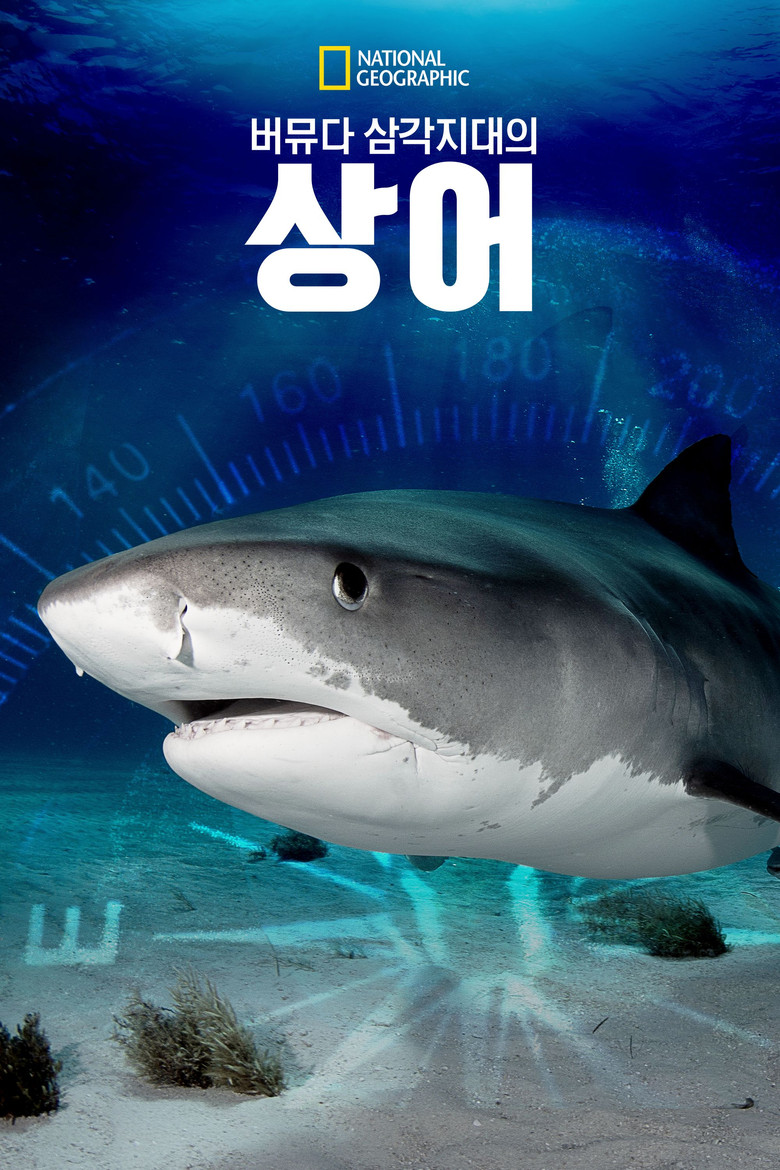 버뮤다 삼각지대의 상어(Sharks of the Bermuda Triangle) poster