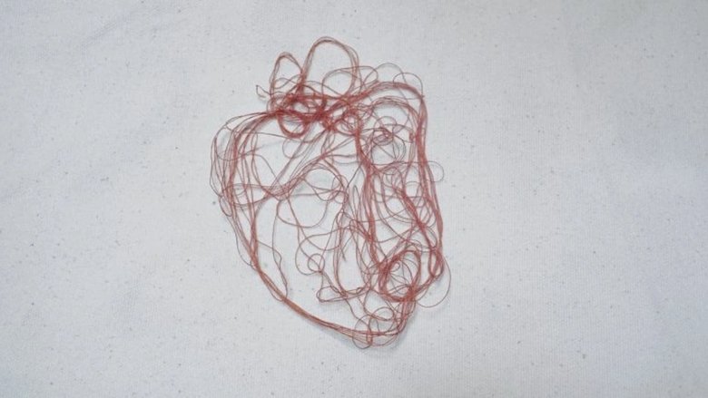 Gallery image from f28WQ0j2GP68g9DlvLGBPgi3qWI.jpg