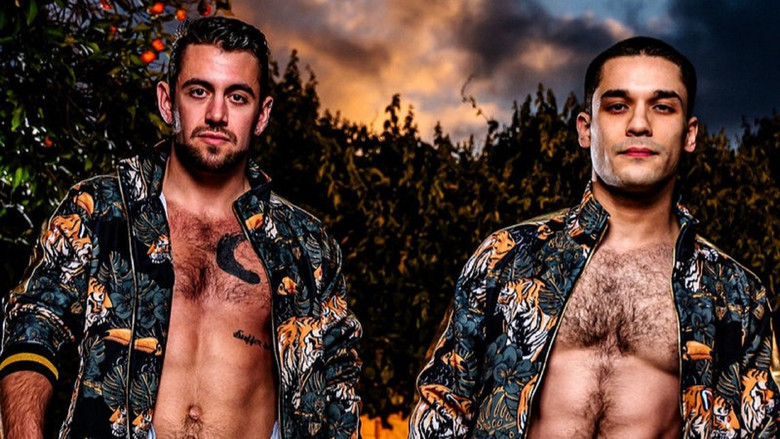 Imatge de Rod's Room: Vol 14