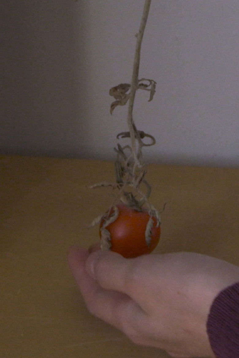 Imatge de Meine Liebe