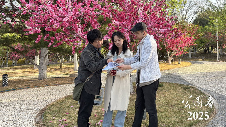 PARK tetralogy spring