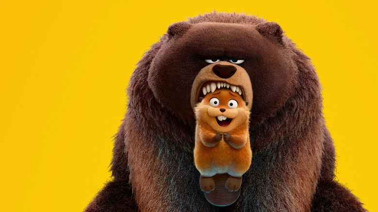 F5j01rp6x7dzm9az6ejy8n20c6y