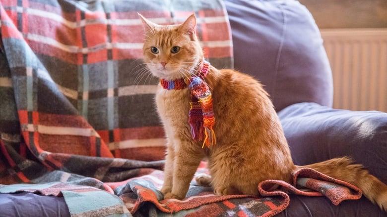 A Street Cat Named Bob