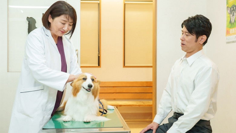 Still image for Who Cares About an Old Man's Underwear! season 1 episode 3: Episode 3 Still image for Who Cares About an Old Man's Underwear! season 1 episode 3: Episode 3