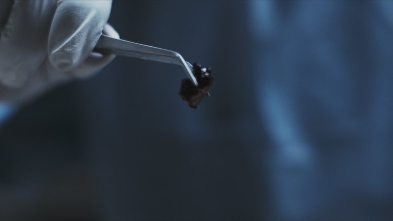 Still image for Tell Me How I Died season 1 episode 4: One Shot Still image for Tell Me How I Died season 1 episode 4: One Shot