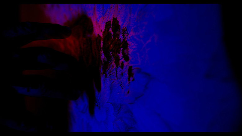 Gallery image 6